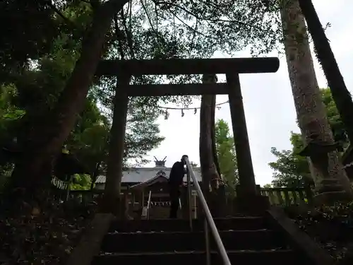 伊古乃速御玉比売神社の鳥居