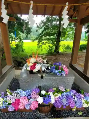 高司神社〜むすびの神の鎮まる社〜の手水舎