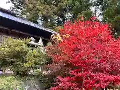 菱野健功神社(長野県)