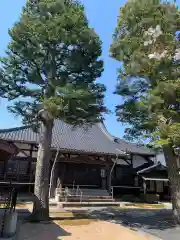 徳証寺の本殿