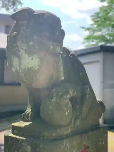 高津諏訪神社の狛犬