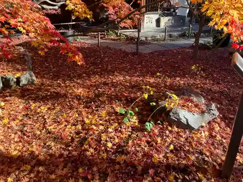 勝林寺(京都府)