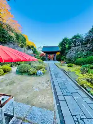 海蔵寺(神奈川県)