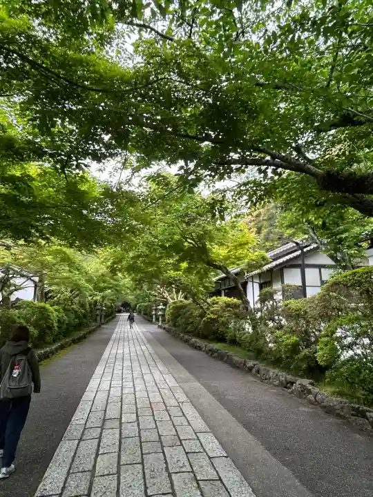 石山寺の{uncategorized: "未分類", other: "その他", undefined: "問題あり", building: "その他建物", grave: "お墓", sacred_gate: "鳥居", guardian: "狛犬", statue: "像", buddha: "仏像", history: "歴史", nature: "自然", garden: "庭園", animal: "動物", pagoda: "塔", temizu: "手水舎", mountain_gate: "山門・神門", sanctuary: "本殿・本堂", subordinate: "末社・摂社", art: "芸術", scenery: "景色", jizo: "地蔵", ema: "絵馬", goshuin: "御朱印", omikuji: "おみくじ", items: "授与品その他", amulet: "お守り", goshuincho: "御朱印帳", eats: "食事", festival: "お祭り", votive_dance: "神楽", shichigosan: "七五三参", wedding: "結婚式", experience: "体験その他", initially: "初詣", around: "周辺", anti_infection: "感染症対策"}
