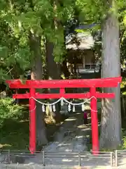 須山浅間神社(静岡県)