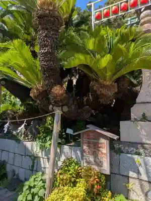 叶神社（東叶神社）(神奈川県)