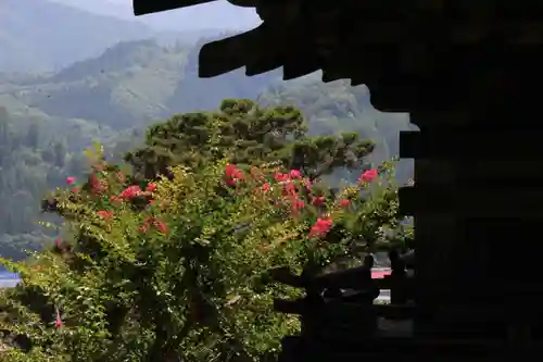 国宝 大法寺の景色