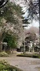 石神井氷川神社(東京都)