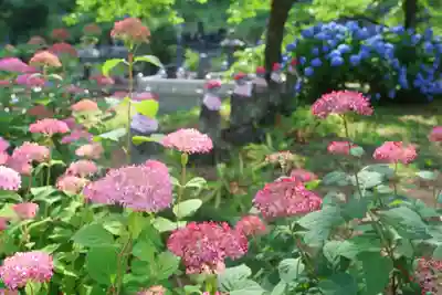陽林寺(福島県)