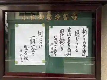 浄誓寺(石川県)