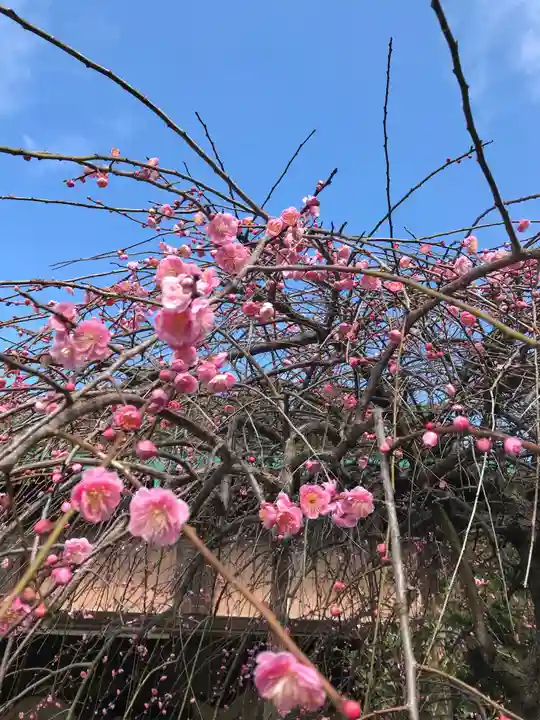 藤ノ木白山神社の自然