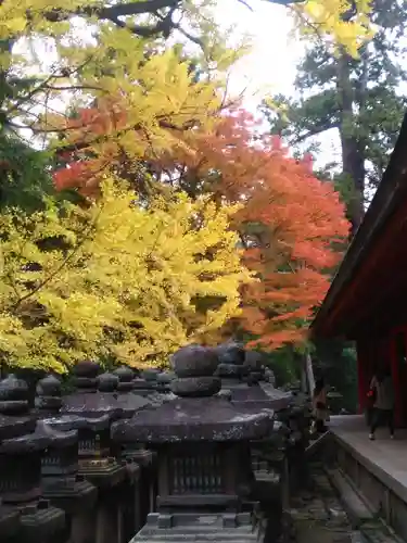 春日大社のその他建物