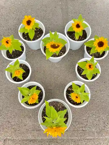 伊達神社(北海道)