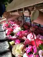 鳩森八幡神社(東京都)