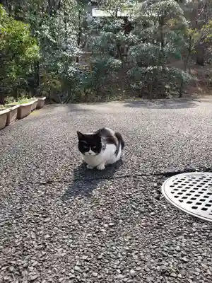 白金氷川神社(東京都)