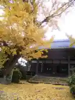 祐専寺の本殿・本堂
