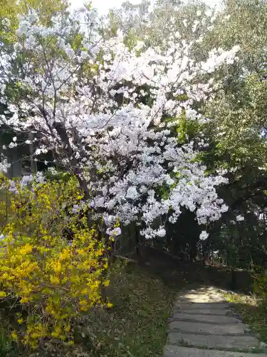 阿智神社の自然