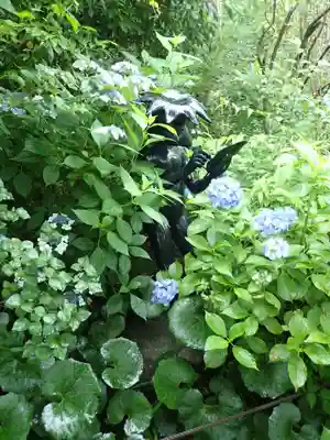 常泉寺(神奈川県)