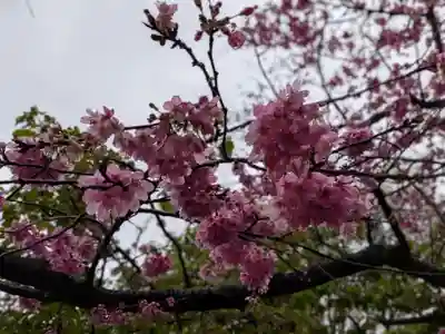 新井薬師(梅照院)(東京都)
