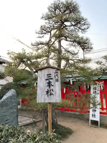 伊弉冊神社(兵庫県)