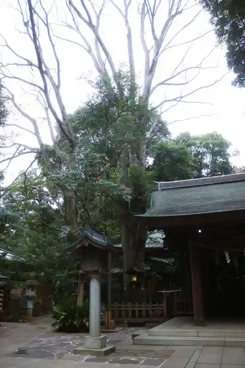 駒木諏訪神社(千葉県)