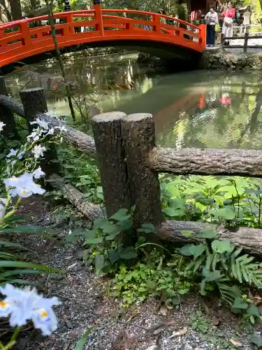 小國神社の{uncategorized: "未分類", other: "その他", undefined: "問題あり", building: "その他建物", grave: "お墓", sacred_gate: "鳥居", guardian: "狛犬", statue: "像", buddha: "仏像", history: "歴史", nature: "自然", garden: "庭園", animal: "動物", pagoda: "塔", temizu: "手水舎", mountain_gate: "山門・神門", sanctuary: "本殿・本堂", subordinate: "末社・摂社", art: "芸術", scenery: "景色", jizo: "地蔵", ema: "絵馬", goshuin: "御朱印", omikuji: "おみくじ", items: "授与品その他", amulet: "お守り", goshuincho: "御朱印帳", eats: "食事", festival: "お祭り", votive_dance: "神楽", shichigosan: "七五三参", wedding: "結婚式", experience: "体験その他", initially: "初詣", around: "周辺", anti_infection: "感染症対策"}