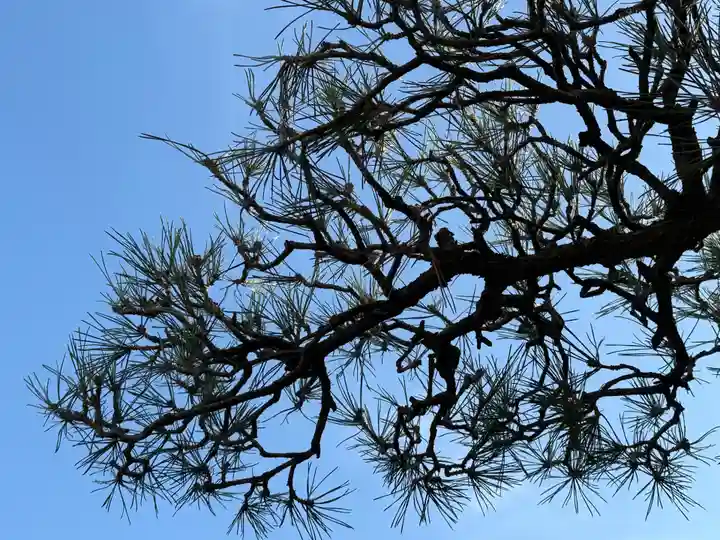 西方山極楽寺(岐阜県)
