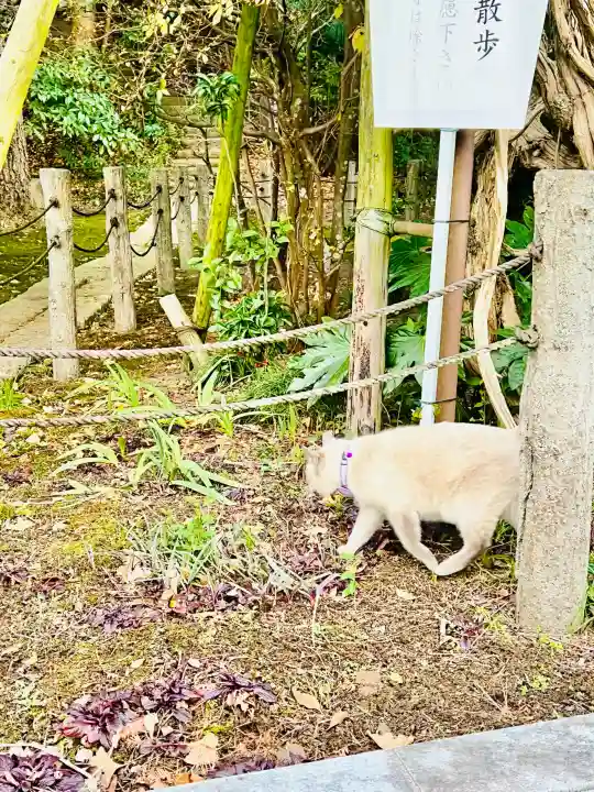 大聖寺(土浦大師不動尊)の{uncategorized: "未分類", other: "その他", undefined: "問題あり", building: "その他建物", grave: "お墓", sacred_gate: "鳥居", guardian: "狛犬", statue: "像", buddha: "仏像", history: "歴史", nature: "自然", garden: "庭園", animal: "動物", pagoda: "塔", temizu: "手水舎", mountain_gate: "山門・神門", sanctuary: "本殿・本堂", subordinate: "末社・摂社", art: "芸術", scenery: "景色", jizo: "地蔵", ema: "絵馬", goshuin: "御朱印", omikuji: "おみくじ", items: "授与品その他", amulet: "お守り", goshuincho: "御朱印帳", eats: "食事", festival: "お祭り", votive_dance: "神楽", shichigosan: "七五三参", wedding: "結婚式", experience: "体験その他", initially: "初詣", around: "周辺", anti_infection: "感染症対策"}