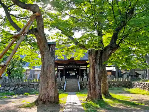 加茂神社の自然