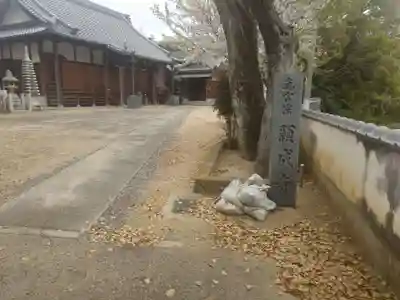 願成寺(大阪府)
