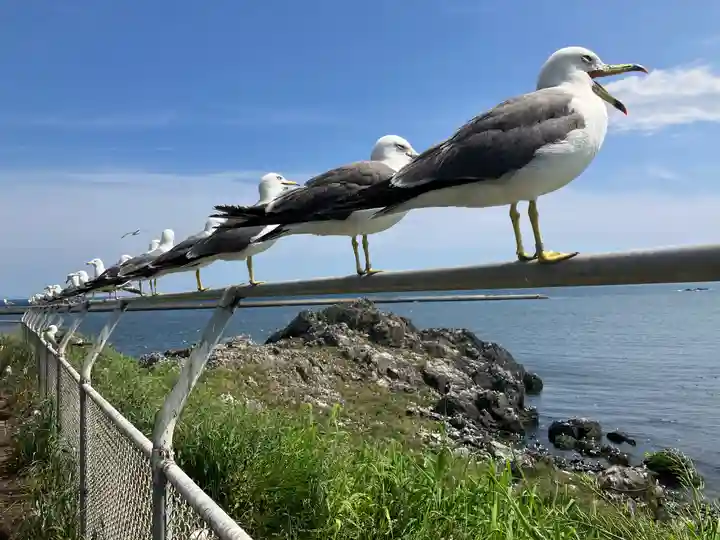 蕪嶋神社(青森県)