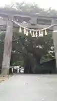 前玉神社の鳥居