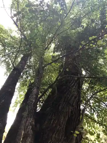 貴船神社奥宮の自然