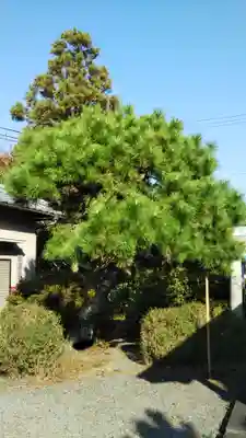 三和神社の自然