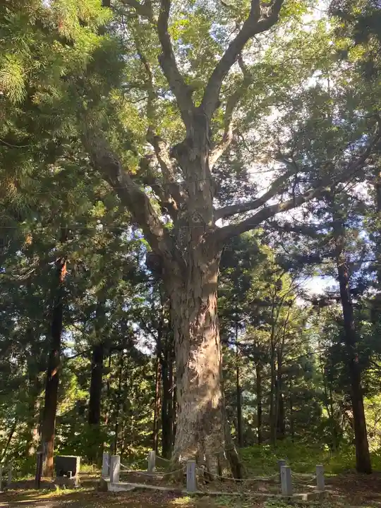 三嶽神社の自然