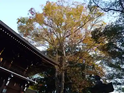 速谷神社(広島県)