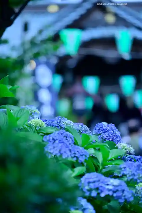 白山神社(東京都)