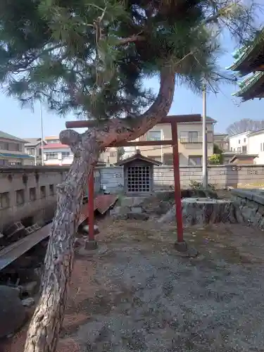 熊野神社(神奈川県)