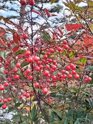 開成山大神宮(福島県)