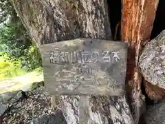 佐々木神社(京都府)