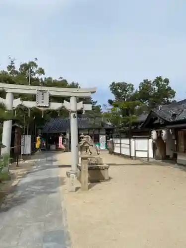 茅渟神社の鳥居