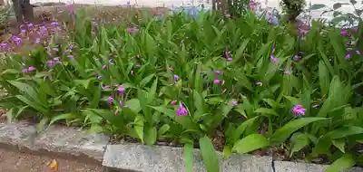 比佐豆知神社(三重県)