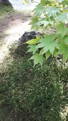 円通院(宮城県)