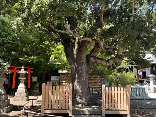芦屋神社(兵庫県)
