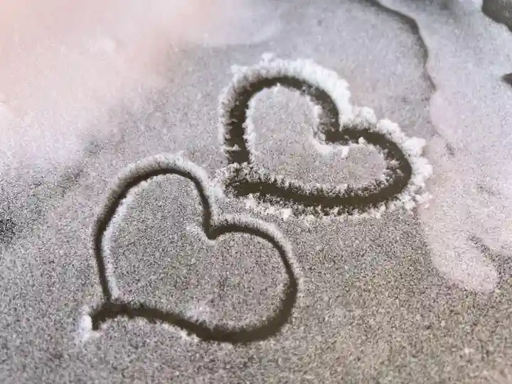 札幌諏訪神社の自然