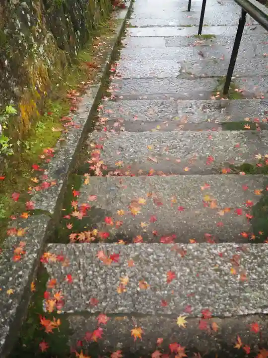 円成寺の{uncategorized: "未分類", other: "その他", undefined: "問題あり", building: "その他建物", grave: "お墓", sacred_gate: "鳥居", guardian: "狛犬", statue: "像", buddha: "仏像", history: "歴史", nature: "自然", garden: "庭園", animal: "動物", pagoda: "塔", temizu: "手水舎", mountain_gate: "山門・神門", sanctuary: "本殿・本堂", subordinate: "末社・摂社", art: "芸術", scenery: "景色", jizo: "地蔵", ema: "絵馬", goshuin: "御朱印", omikuji: "おみくじ", items: "授与品その他", amulet: "お守り", goshuincho: "御朱印帳", eats: "食事", festival: "お祭り", votive_dance: "神楽", shichigosan: "七五三参", wedding: "結婚式", experience: "体験その他", initially: "初詣", around: "周辺", anti_infection: "感染症対策"}