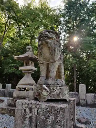 吉岡神社の狛犬