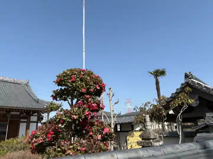 寿宝寺の{uncategorized: "未分類", other: "その他", undefined: "問題あり", building: "その他建物", grave: "お墓", sacred_gate: "鳥居", guardian: "狛犬", statue: "像", buddha: "仏像", history: "歴史", nature: "自然", garden: "庭園", animal: "動物", pagoda: "塔", temizu: "手水舎", mountain_gate: "山門・神門", sanctuary: "本殿・本堂", subordinate: "末社・摂社", art: "芸術", scenery: "景色", jizo: "地蔵", ema: "絵馬", goshuin: "御朱印", omikuji: "おみくじ", items: "授与品その他", amulet: "お守り", goshuincho: "御朱印帳", eats: "食事", festival: "お祭り", votive_dance: "神楽", shichigosan: "七五三参", wedding: "結婚式", experience: "体験その他", initially: "初詣", around: "周辺", anti_infection: "感染症対策"}