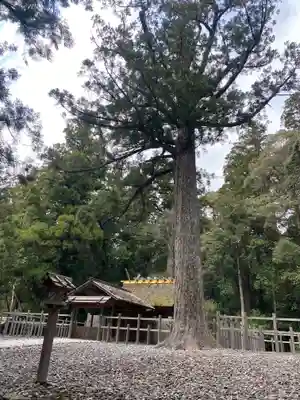 瀧原宮(皇大神宮別宮)(三重県)