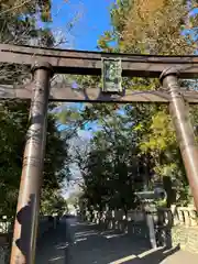 大井神社の鳥居